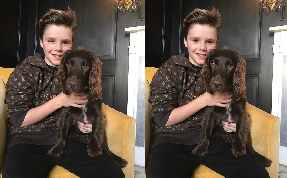 David Beckham's Son Cruz Auctions His Used Vuitton X Supreme Hoodie for  $150,000