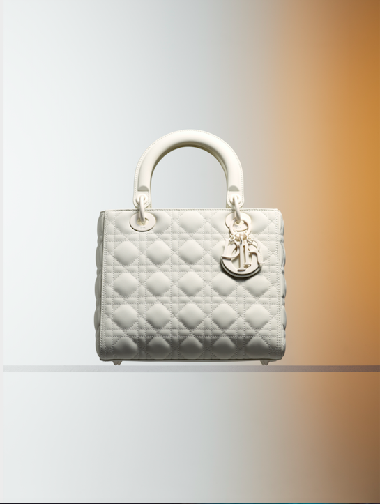 A Vision In Matte: Dior’s Modern Take On Its Signature Accessories ...