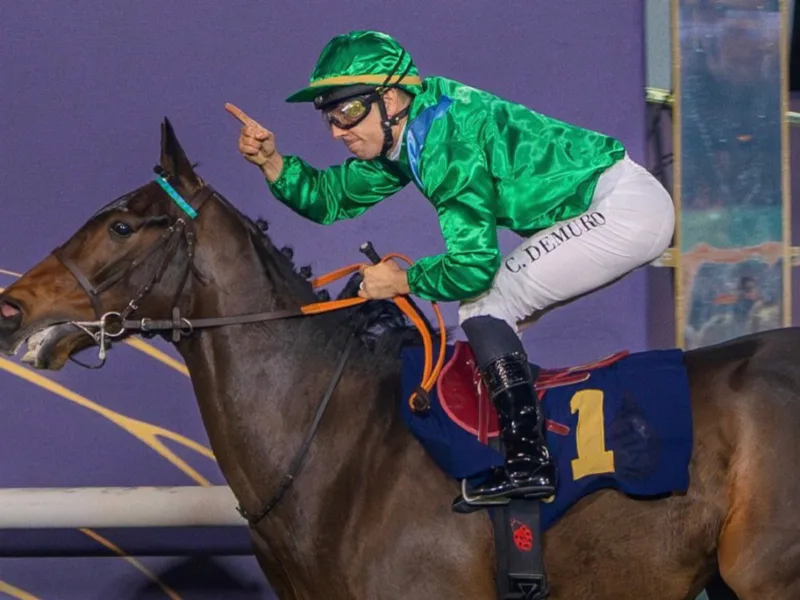 UAE President Cup winner