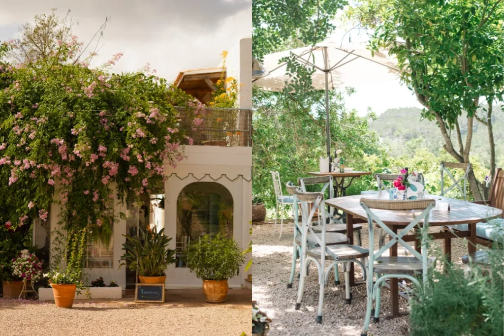 La Paloma's green garden and terrace in the sunshine