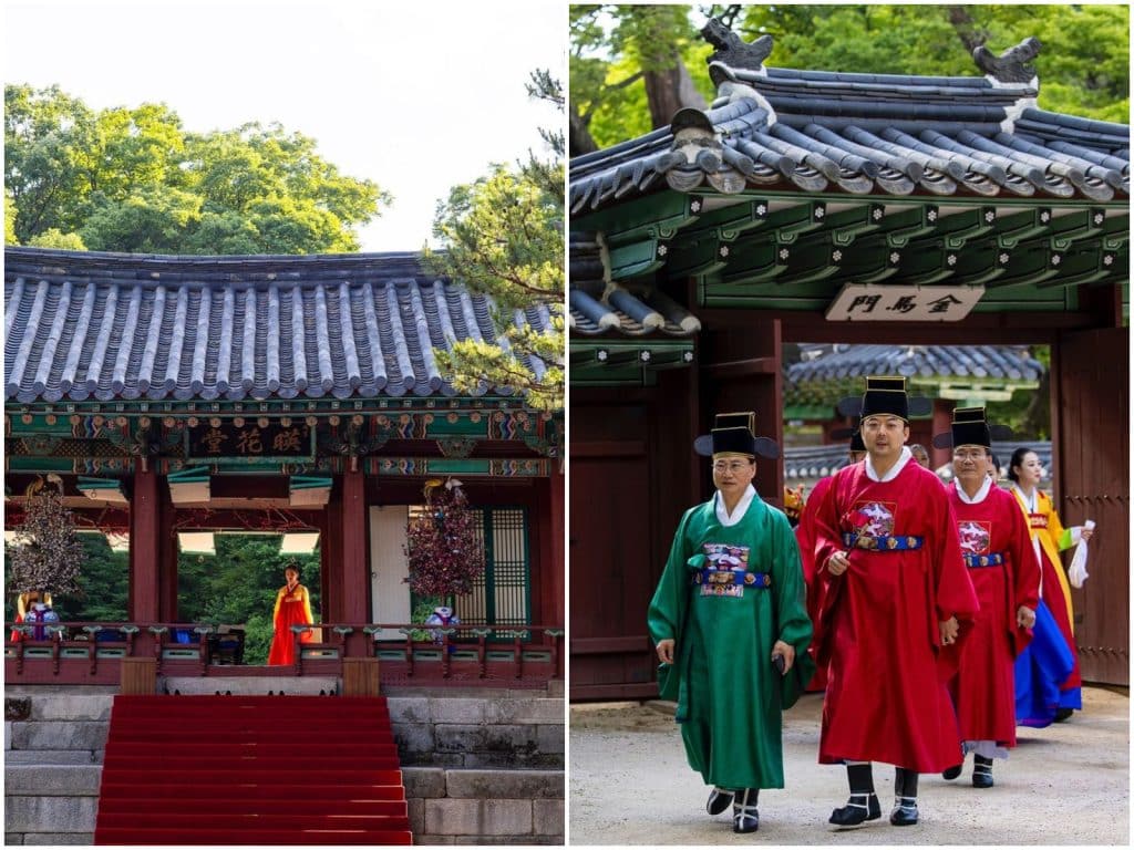 Sheikh Mohamed Korea